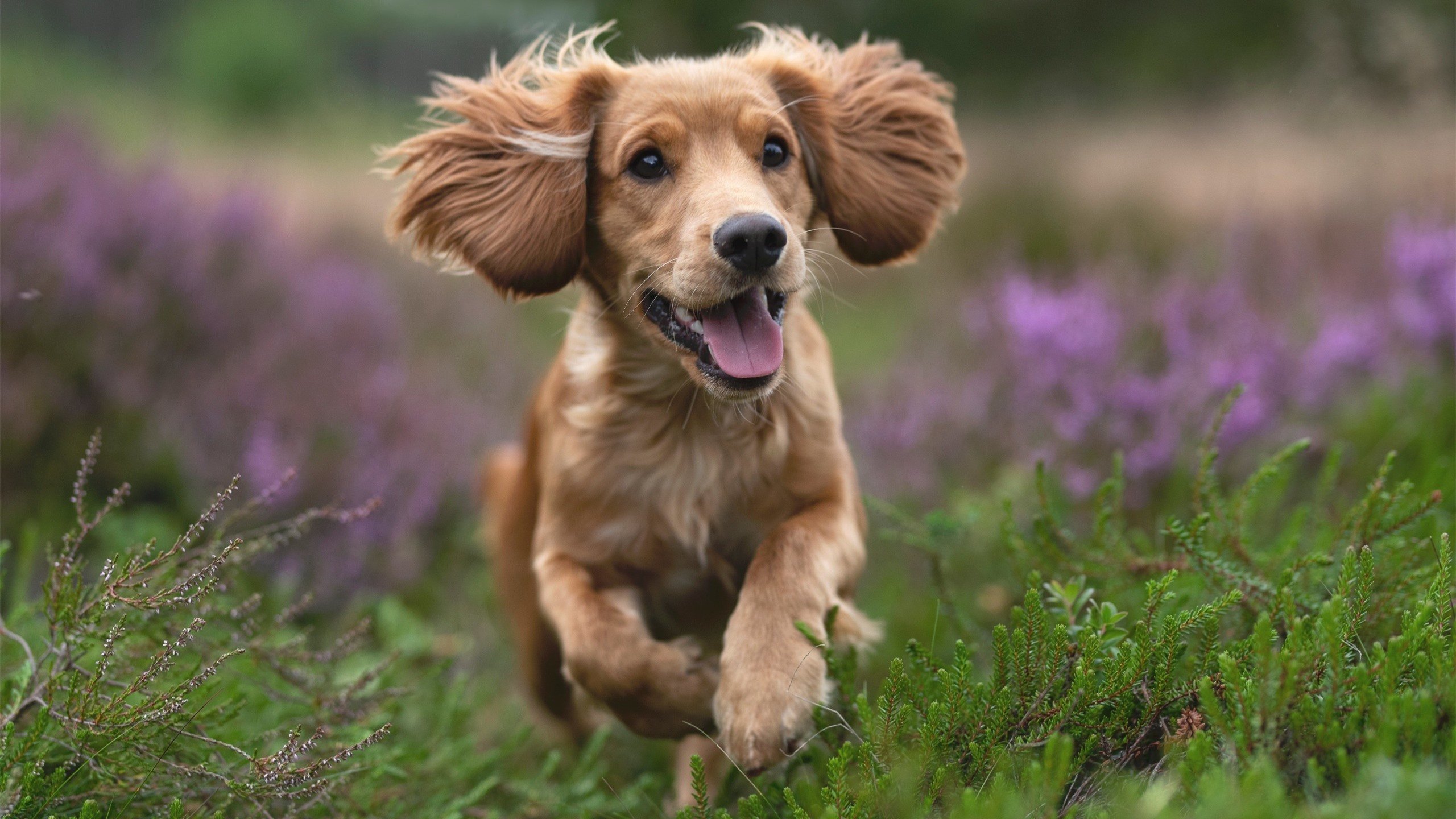 -青训“智慧教练”平台在多地试点，推动青少年技能提升，智慧训练考核