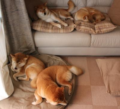 AYX体育官网-南特中场神奇状态复苏，球队竞争力逐渐提升，南特对里昂的比分预测