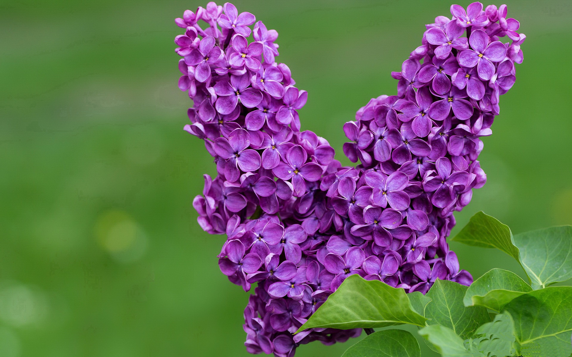 精准传球:阵型组合完美无疵,扬长避短,传球数据