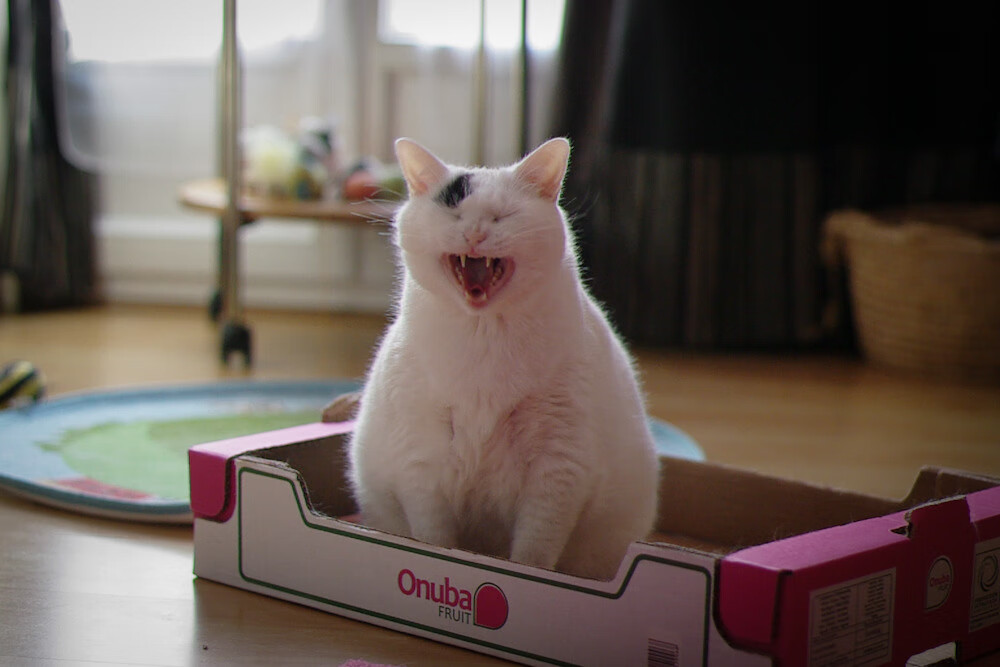 AYX官网-胜者为王：鼓舞士气，争取每一分胜利，胜者为王的含义