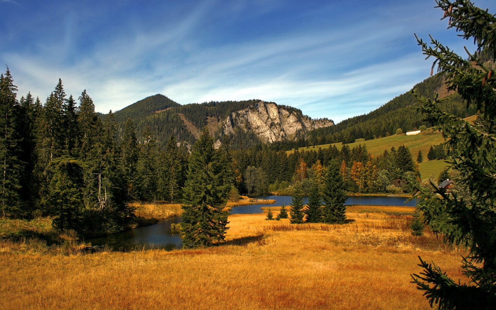 AYX官网-韩国星际争霸赛事合作伙伴增加，星际争霸韩国人