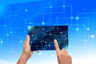 爱游戏娱乐平台-中国篮球青训体系教练员能力评估与发展规划，篮球教练员素养