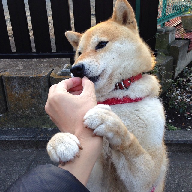 AYX GAMING-运动装备技术标准升级，运动装备资讯