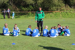 AYX官网-德甲战术大变：变化迅速，精彩纷呈，德甲赛制介绍