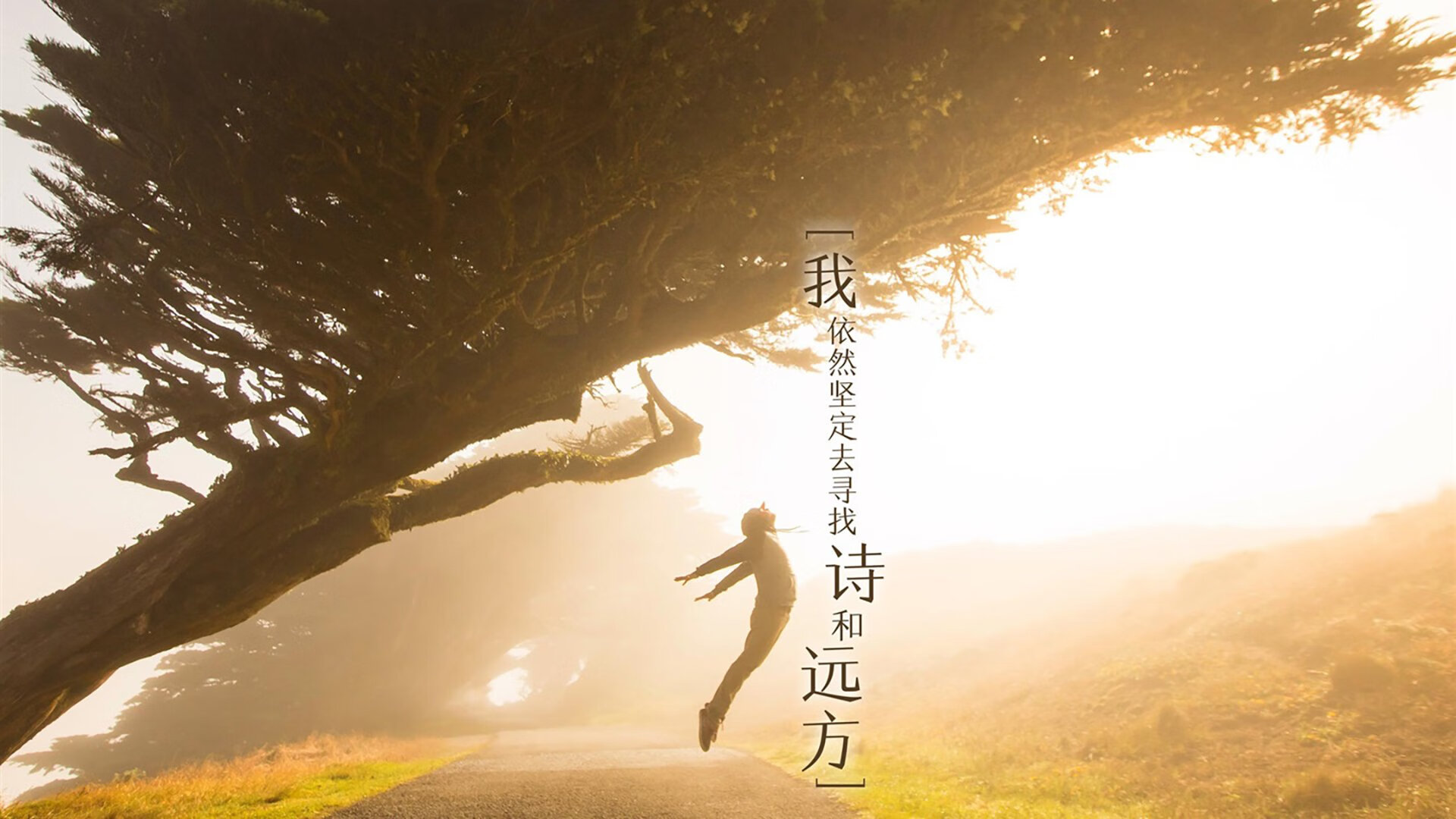 爱游戏娱乐网址-林丹鼓励年轻人坚持体育梦想，林丹说的励志的话